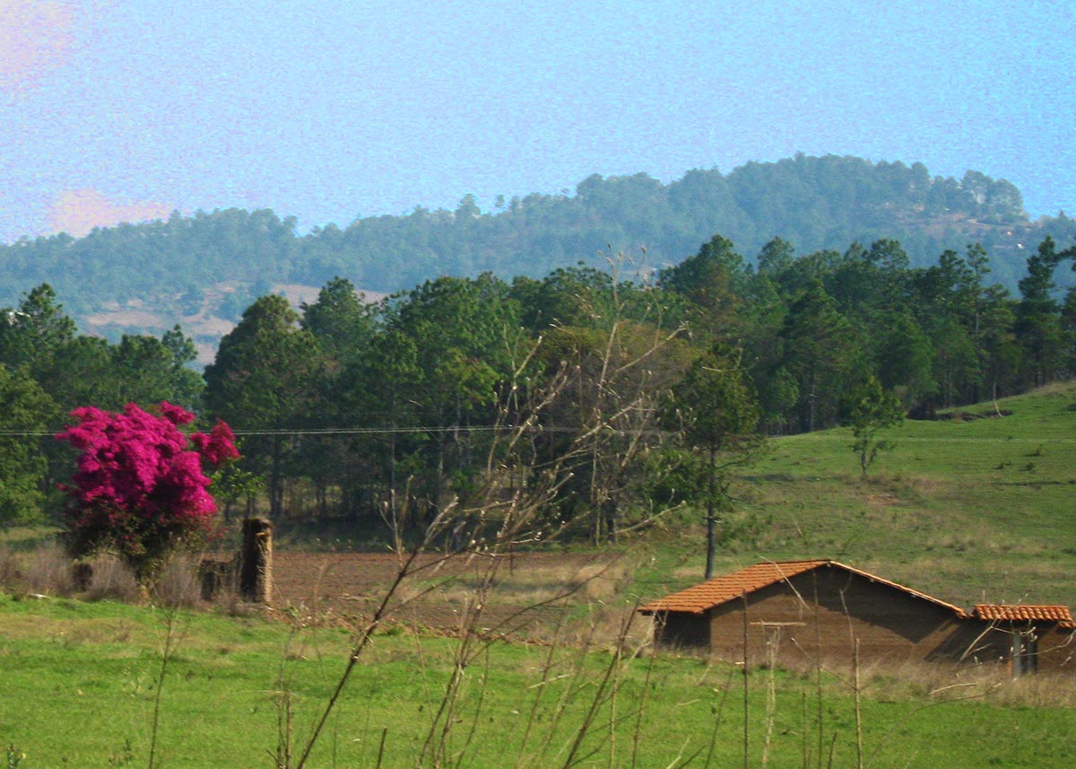 Pročitajte više o članku Slikarski proces 2 – Ulazak